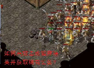 如何高效击败狐狸精英并获取稀有装备? 如何高效击败狐狸精英并获取稀有装备?