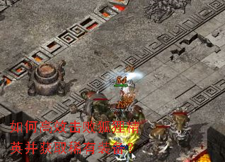 如何高效击败狐狸精英并获取稀有装备? 如何高效击败狐狸精英并获取稀有装备?