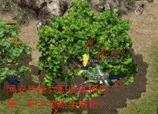 网安传奇六职业如何选择?新手攻略全解析 网安传奇六职业如何选择?新手攻略全解析