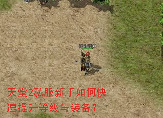 天堂2私服新手如何快速提升等级与装备? 天堂2私服新手如何快速提升等级与装备?