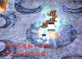 天堂2私服新手如何快速提升等级与装备? 天堂2私服新手如何快速提升等级与装备?
