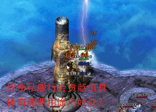 ����˽���лṱ��ֵ��������Щ��;��ô���