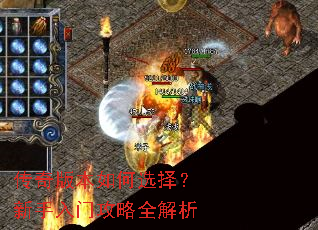 传奇版本如何选择?新手入门攻略全解析 传奇版本如何选择?新手入门攻略全解析
