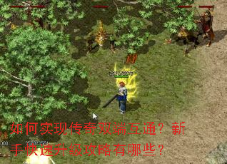如何实现传奇双端互通?新手快速升级攻略有哪些? 如何实现传奇双端互通?新手快速升级攻略有哪些?