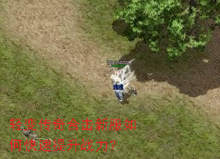 轻变传奇合击新服如何快速提升战力? 轻变传奇合击新服如何快速提升战力?