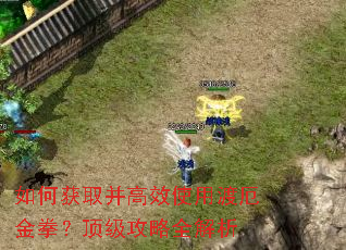 如何获取并高效使用渡厄金拳?顶级攻略全解析 如何获取并高效使用渡厄金拳?顶级攻略全解析