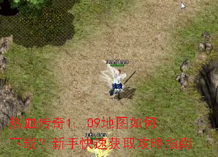 ��Ѫ����1..09��ͼ������أ����ֿ��ٻ�ȡ����ָ��
