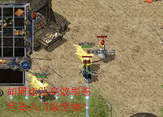 如何组队高效刷苍月岛入门级怪物? 如何组队高效刷苍月岛入门级怪物?