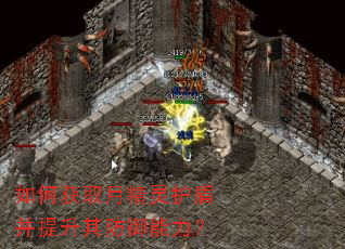 如何获取月精灵护盾并提升其防御能力? 如何获取月精灵护盾并提升其防御能力?