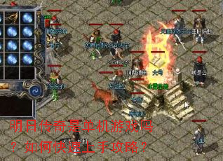 ���մ����ǵ�����Ϸ����ο������ֹ��ԣ�