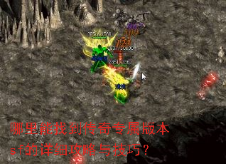 哪里能找到传奇专属版本sf的详细攻略与技巧? 哪里能找到传奇专属版本sf的详细攻略与技巧?