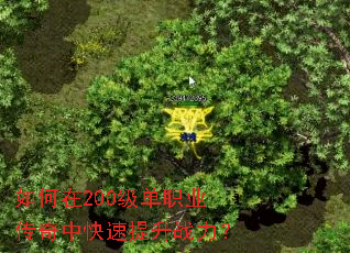 �����200����ְҵ�����п�������ս����
