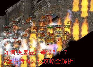 如何快速提升等级?1.76复古传奇升级攻略全解析 如何快速提升等级?1.76复古传奇升级攻略全解析