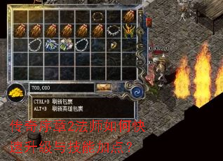 传奇序章2法师如何快速升级与技能加点? 传奇序章2法师如何快速升级与技能加点?