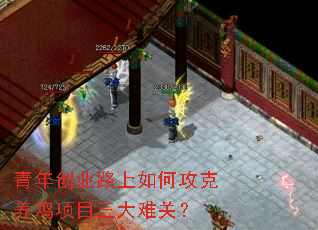 青年创业路上如何攻克养鸡项目三大难关? 青年创业路上如何攻克养鸡项目三大难关?