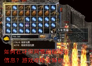 如何在环保网查询机动车信息?游戏攻略全解析 如何在环保网查询机动车信息?游戏攻略全解析