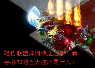 轻语联盟如何快速上手?新手必知的五大技巧是什么? 轻语联盟如何快速上手?新手必知的五大技巧是什么?