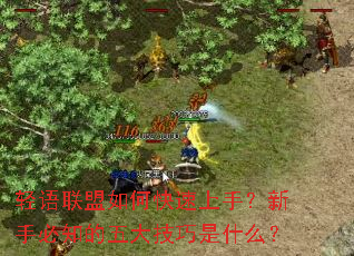 轻语联盟如何快速上手?新手必知的五大技巧是什么? 轻语联盟如何快速上手?新手必知的五大技巧是什么?