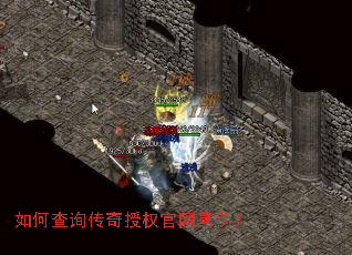 ��β�ѯ������Ȩ������α��