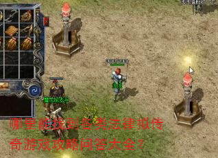 哪里能找到各类法律拟传奇游戏攻略问答大全? 哪里能找到各类法律拟传奇游戏攻略问答大全?